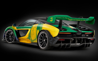 McLaren Senna Sempre by MSO (2024) (#122800)