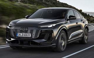 Audi Q6 Sportback E-Tron S line (2024) (#124084)