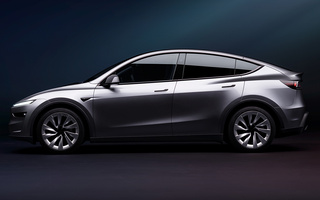 Tesla Model Y (2025) (#124989)