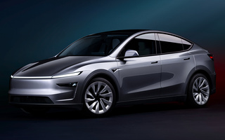 Tesla Model Y (2025) (#124991)