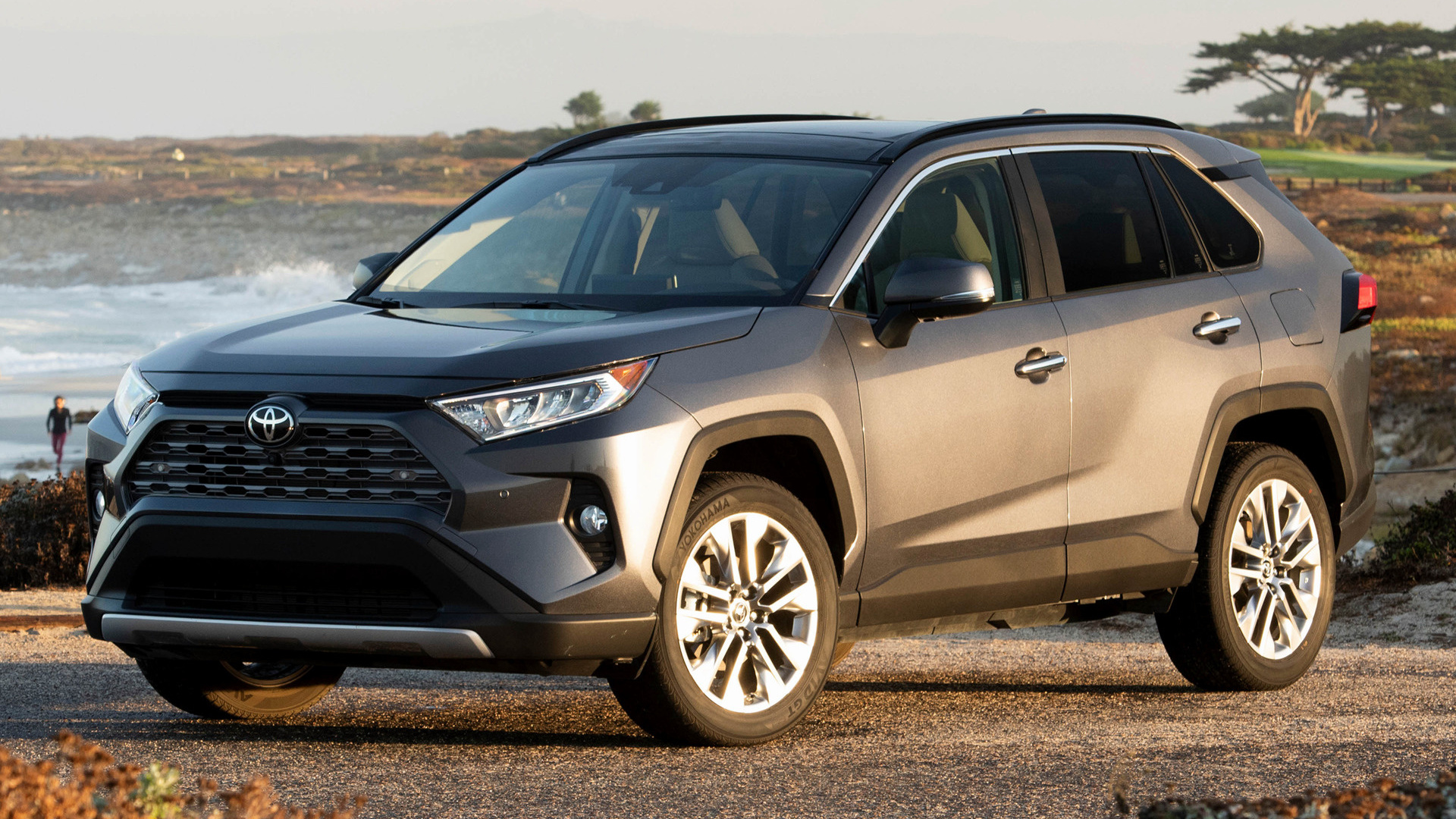 2019 Toyota RAV4 (US) - Wallpapers and HD Images | Car Pixel