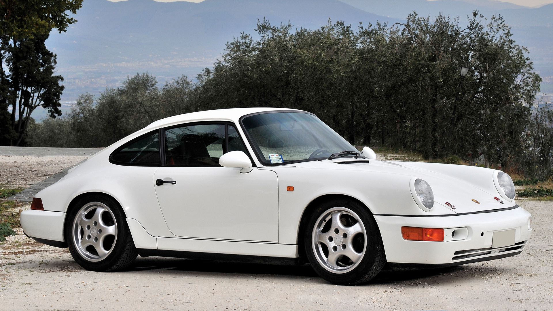 Порше 11. Porsche 911 Carrera RS 964. Porsche 1991. Porsche Carrera 4 Lightweight 1990 г.. Порш 1991 серебристый.